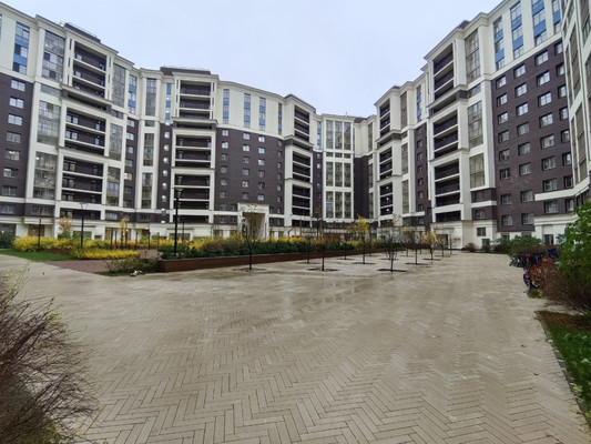 Сдам однокомнатную (1-комн.) квартиру, Авиаконструкторов пр-кт, 54, Санкт-Петербург г