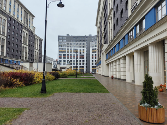 Сдам однокомнатную (1-комн.) квартиру, Авиаконструкторов пр-кт, 54, Санкт-Петербург г