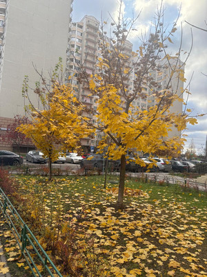 Продам двухкомнатную (2-комн.) квартиру, Героя Советского Союза В.Н.Фокина ул, 8, Видное г