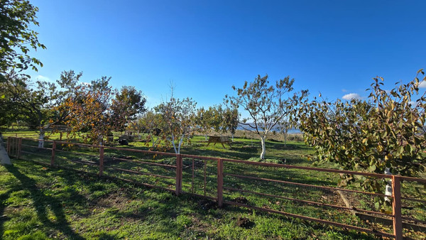 Продам таунхаус, Кубанская ул, 2, Витязево с, 0 км от города