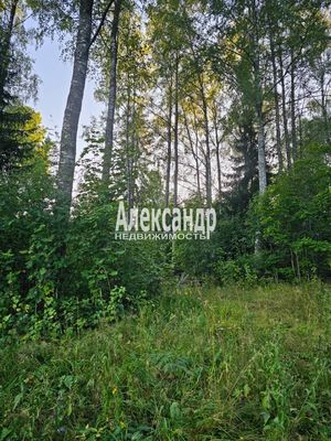 Продам участок 115 соток, ИЖС, район п. Харвиа тер, 220 км от города