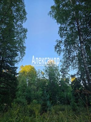 Продам участок 115 соток, ИЖС, район п. Харвиа тер, 220 км от города