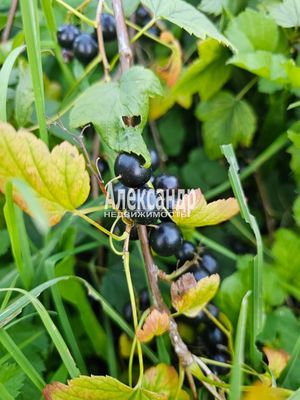 Продам участок 115 соток, ИЖС, район п. Харвиа тер, 220 км от города