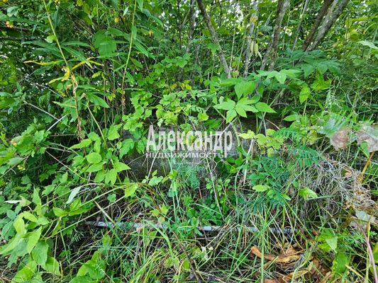 Продам участок 115 соток, ИЖС, район п. Харвиа тер, 220 км от города