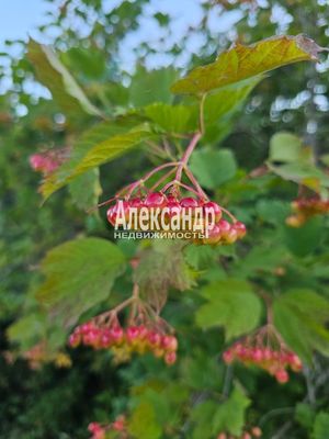 Продам участок 115 соток, ИЖС, район п. Харвиа тер, 220 км от города