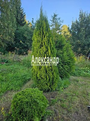 Продам участок 115 соток, ИЖС, район п. Харвиа тер, 220 км от города