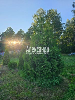 Продам участок 115 соток, ИЖС, район п. Харвиа тер, 220 км от города