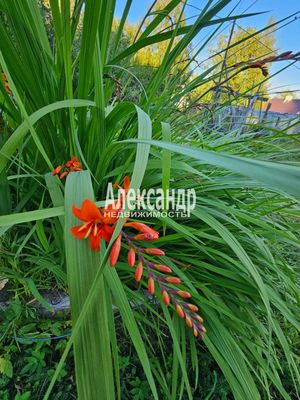 Продам участок 115 соток, ИЖС, район п. Харвиа тер, 220 км от города