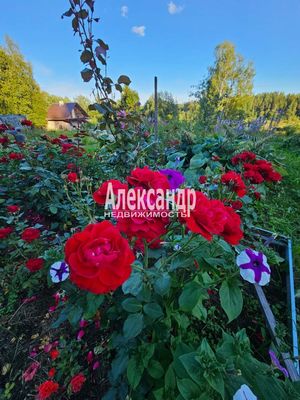 Продам участок 115 соток, ИЖС, район п. Харвиа тер, 220 км от города