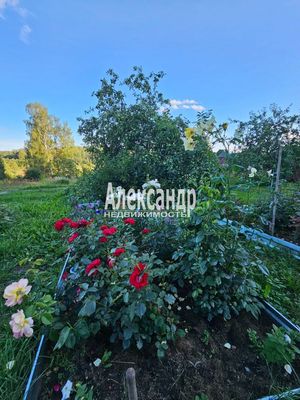 Продам участок 115 соток, ИЖС, район п. Харвиа тер, 220 км от города