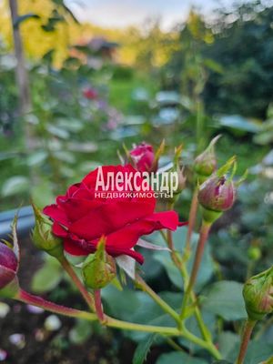 Продам участок 115 соток, ИЖС, район п. Харвиа тер, 220 км от города