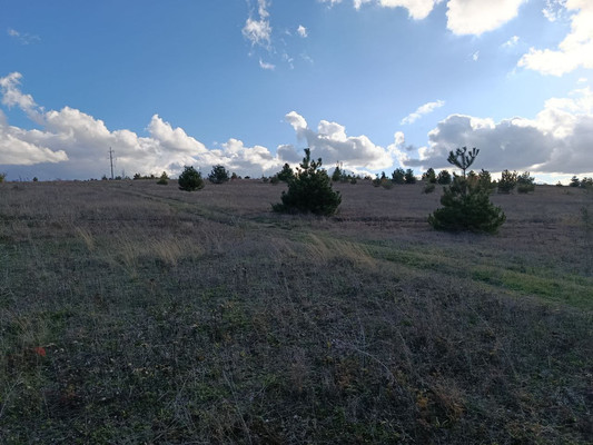 Продам участок 7 соток, ИЖС, Луговая ул, 24а, Пионерское с, 0 км от города