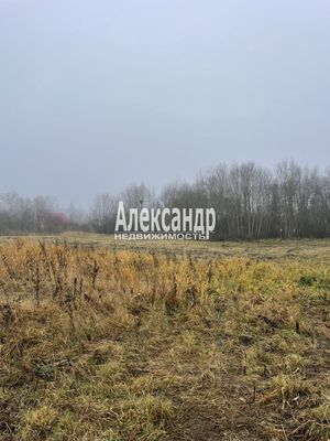 Продам участок 30 соток, ИЖС, Бегуницы д, 80 км от города