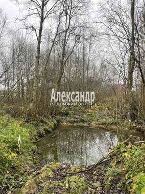 Продам участок 30 соток, ИЖС, Бегуницы д, 80 км от города