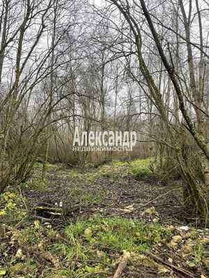 Продам участок 30 соток, ИЖС, Бегуницы д, 80 км от города