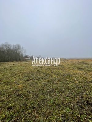 Продам участок 30 соток, ИЖС, Бегуницы д, 80 км от города