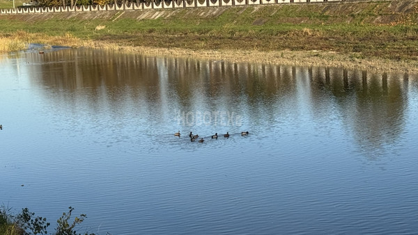 Продам однокомнатную (1-комн.) квартиру, Комсомольская ул, 67, Абинск г