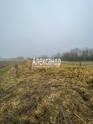 Продам участок 10 соток, ЛПХ, Кайкино д, 80 км от города