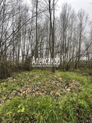 Продам участок 10 соток, ЛПХ, Кайкино д, 80 км от города