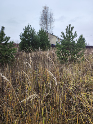 Продам участок 13,5 соток, ИЖС, Минино д, 0 км от города