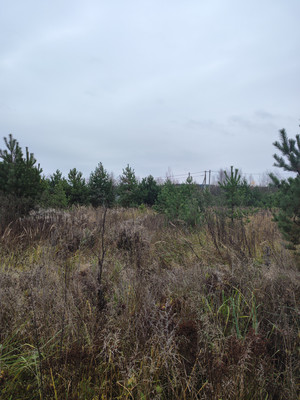 Продам участок 13,5 соток, ИЖС, Минино д, 0 км от города