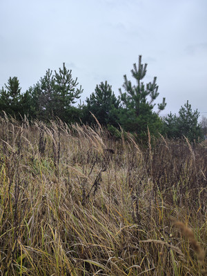 Продам участок 13,5 соток, ИЖС, Минино д, 0 км от города