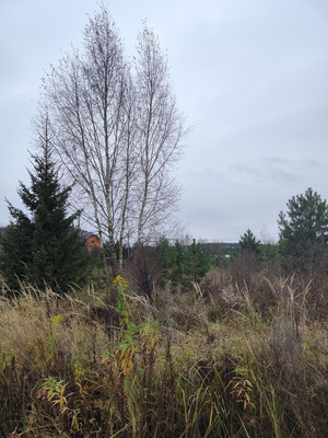 Продам участок 13,5 соток, ИЖС, Минино д, 0 км от города