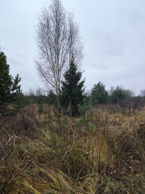 Продам участок 13,5 соток, ИЖС, Минино д, 0 км от города