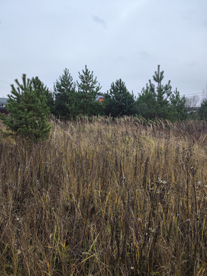 Продам участок 13,5 соток, ИЖС, Минино д, 0 км от города