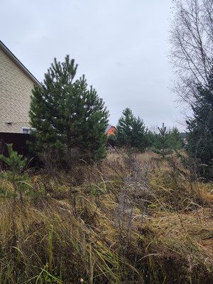 Продам участок 13,5 соток, ИЖС, Минино д, 0 км от города