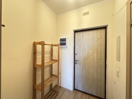 Продам однокомнатную (1-комн.) квартиру, Шувалова ул, 19к1, Мурино п