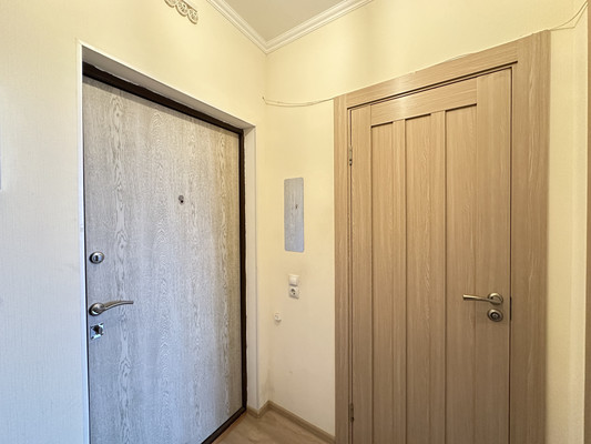 Продам однокомнатную (1-комн.) квартиру, Шувалова ул, 19к1, Мурино п