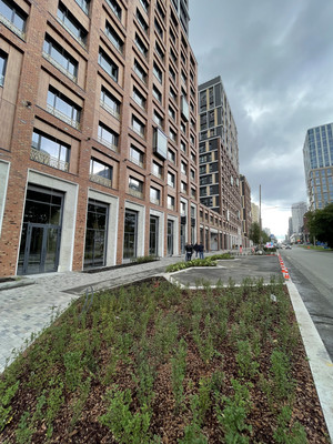 Сдам торговое помещение 145,3 м2, Радищева ул, 24, Екатеринбург г