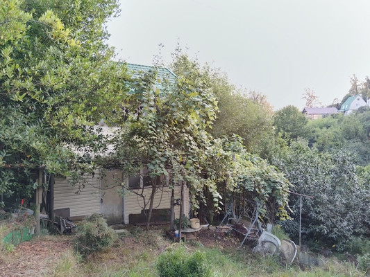 Продам дачу, Дубовая ул, 114, Раздольное с, 0 км от города