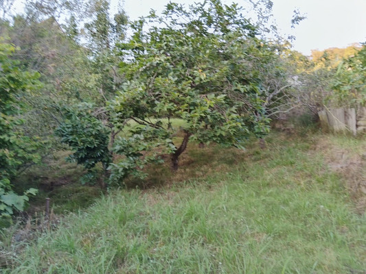 Продам дачу, Дубовая ул, 114, Раздольное с, 0 км от города