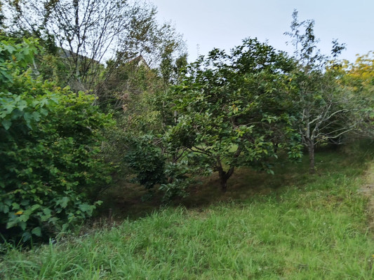 Продам дачу, Дубовая ул, 114, Раздольное с, 0 км от города