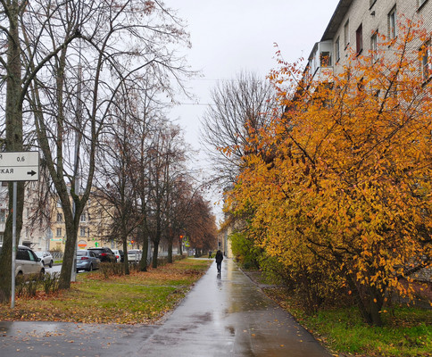 Продам двухкомнатную (2-комн.) квартиру, Красного Флота ул, 20/41А, Ломоносов г