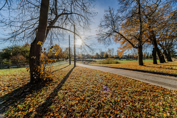 Продам дом, Изящная (Волхонское тер) ул, 13, Пушкин г, 0 км от города