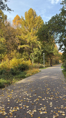 Продам двухкомнатную (2-комн.) квартиру, Свободы ул, 91к2, Москва г