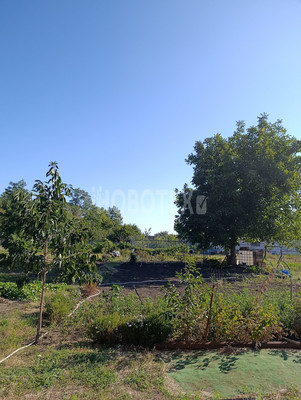 Продам дом, Толстого ул, 8, Березанская ст-ца, 0 км от города