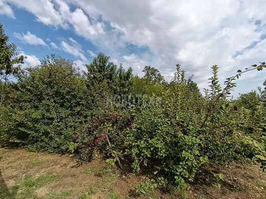 Продам дом, Толстого ул, 8, Березанская ст-ца, 0 км от города