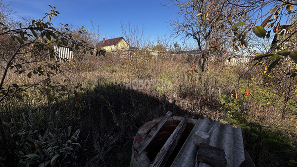 Продам дачу, Водников (Дружба СДТ тер) ул, 4, Экономическое с, 0 км от города