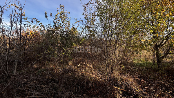 Продам дом, Центральная ул, 9а, Ястребовский х, 0 км от города