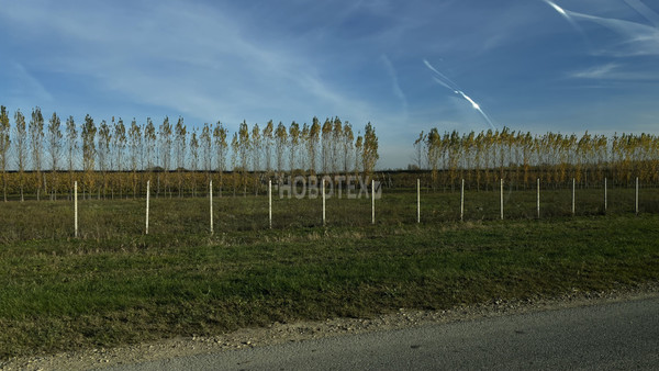 Продам дом, Центральная ул, 9а, Ястребовский х, 0 км от города