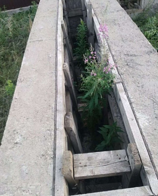 Продам участок 8 соток, Садоводство, 469, Афанасово д, 0 км от города