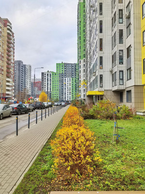 Продам однокомнатную (1-комн.) квартиру, Новое ш, 8, Дрожжино рп