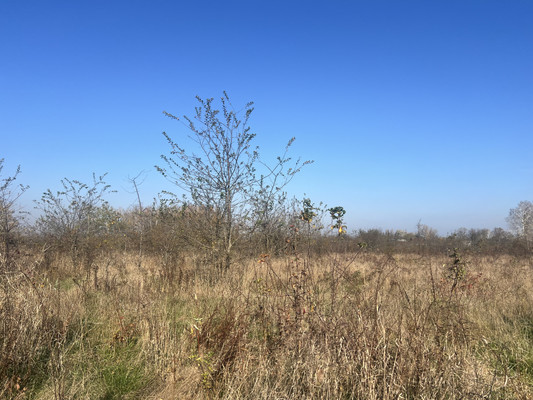 Продам участок 6 соток, ИЖС, Ковыльная ул, Апшеронск г, 0 км от города