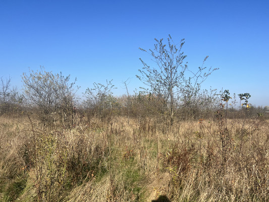 Продам участок 6 соток, ИЖС, Ковыльная ул, Апшеронск г, 0 км от города