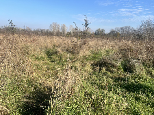 Продам участок 6 соток, ИЖС, Ковыльная ул, Апшеронск г, 0 км от города