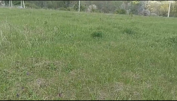 Продам участок 7 соток, ИЖС, Цветочная ул, 44, Табачный п, 0 км от города